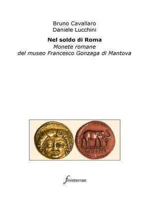 cover image of Nel soldo di Roma. Monete romane del museo Francesco Gonzaga di Mantova